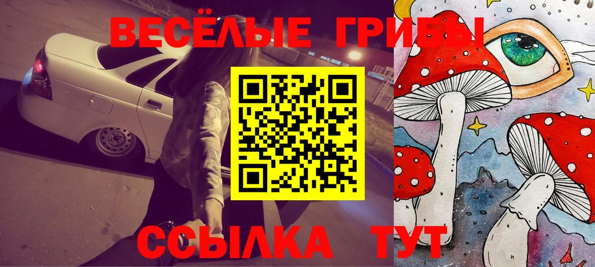 Лесосибирск  Галлюциногенные грибы прущие грибы  Псилоцибиновые грибы Psilocybine cubensis  Вход с VPN 