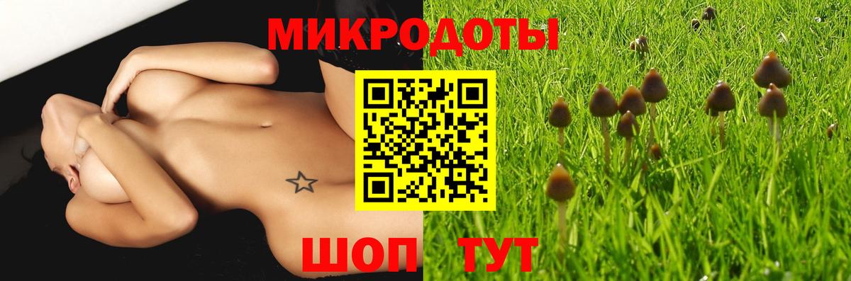 Псилоцибиновые грибы мухоморы Лесосибирск